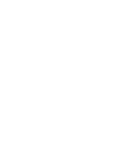 دکتر رامک ممتاز